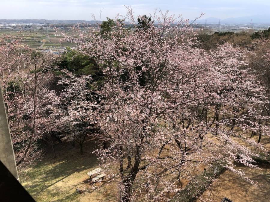 桜山展望台の最上階から見える風景