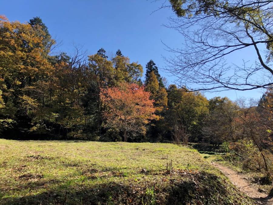 近所にある里山の風景